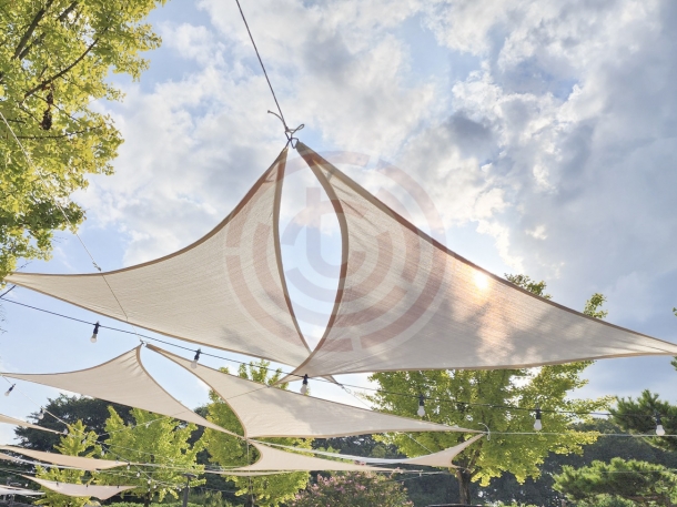 2024 직지문화축제