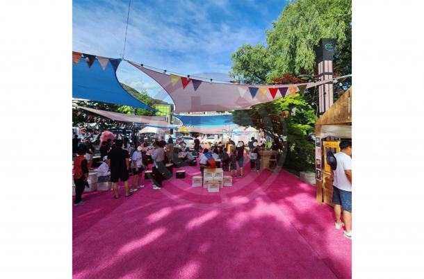 핑크 인조잔디(2m*10m)