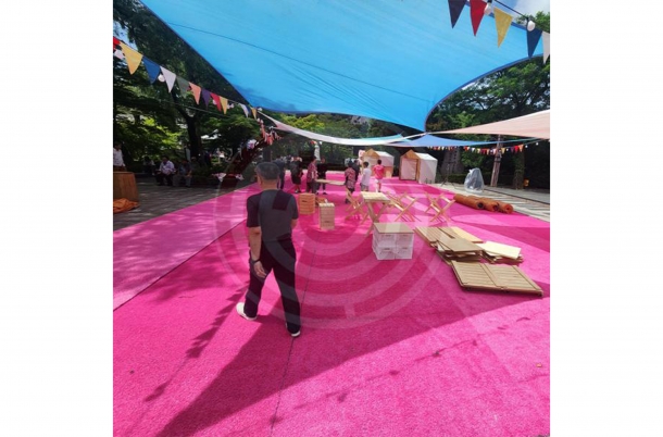 핑크 인조잔디(2m*15m)